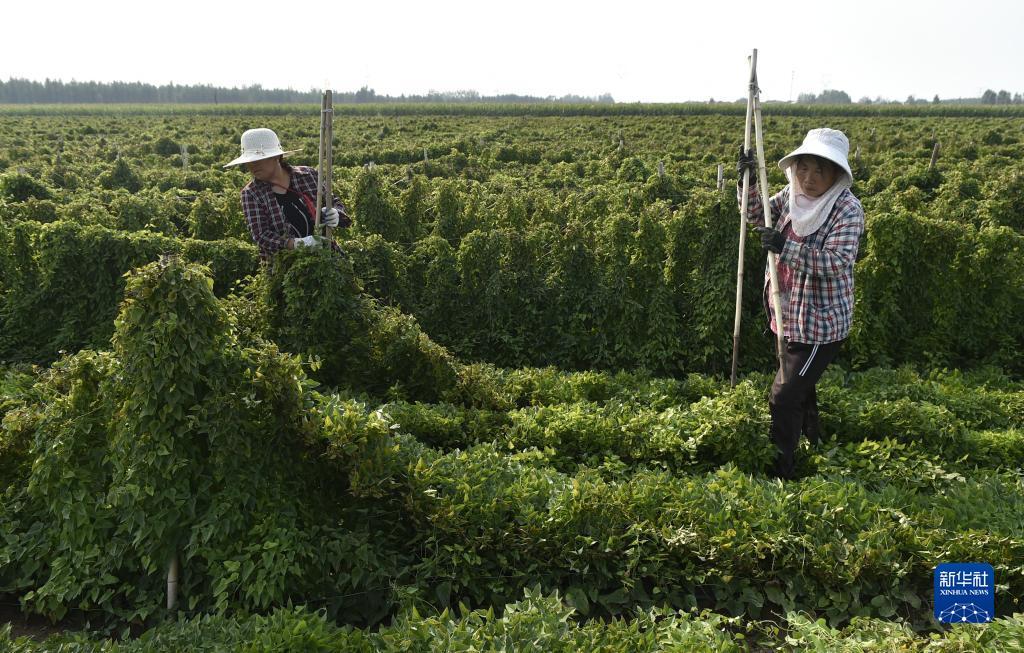 大满贯电子游戏网站平台